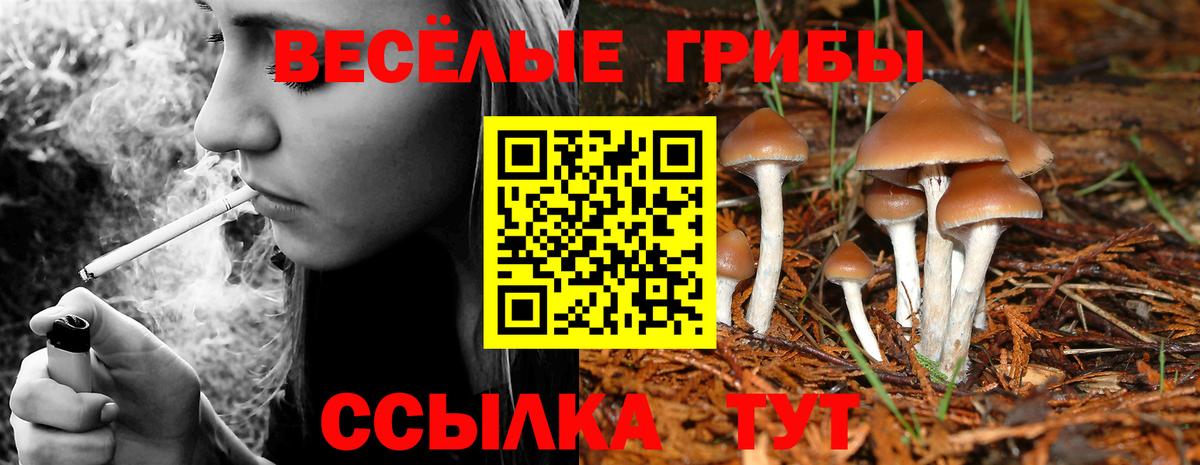 Бутурлиновка  Галлюциногенные грибы ЛСД  Вход с VPN  Галлюциногенные грибы Psilocybe 